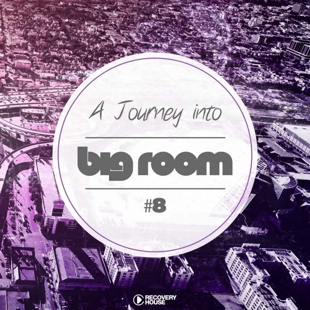 A Journey Into Big Room, Vol. 8