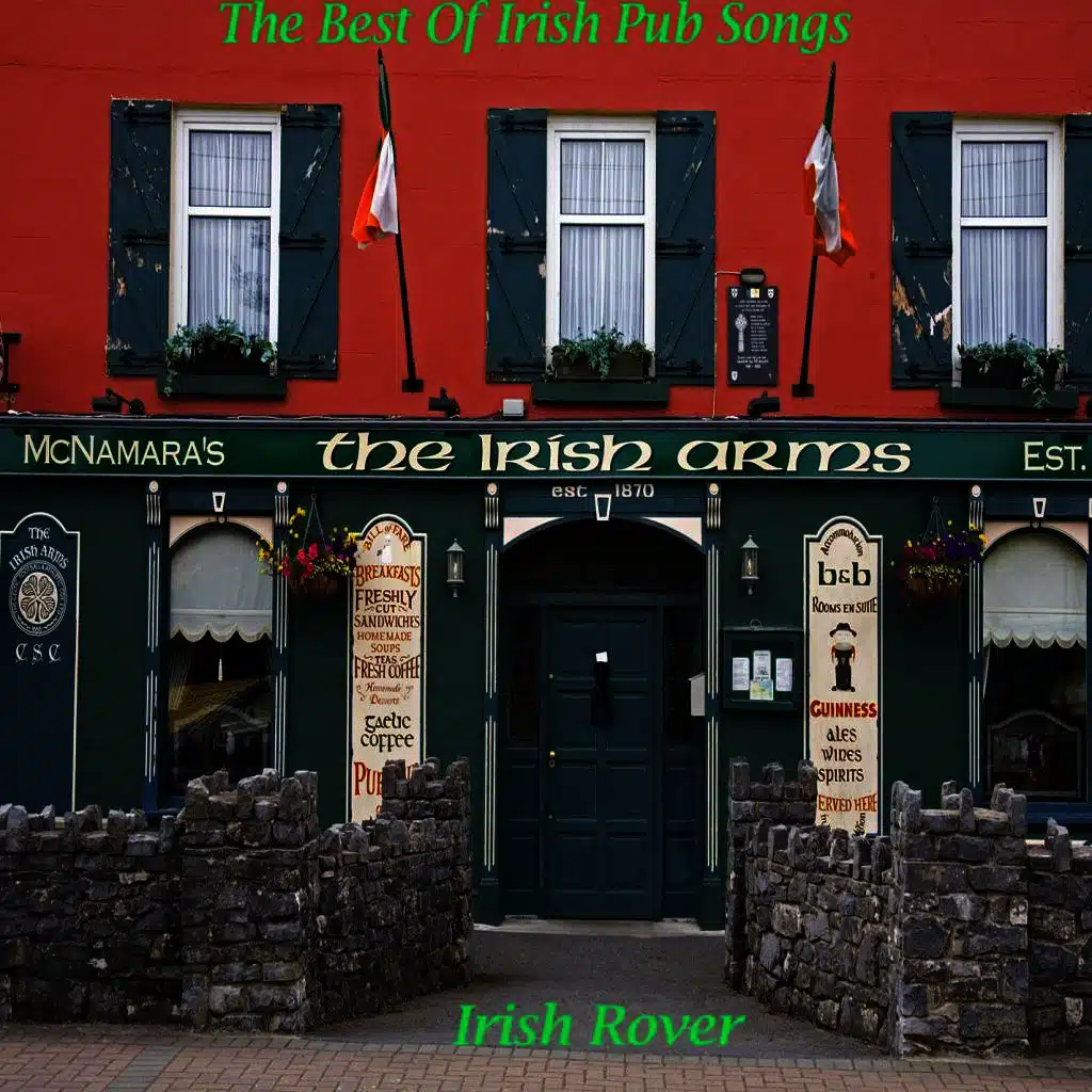 The Best Of Irish Pub Songs - Irish Rover