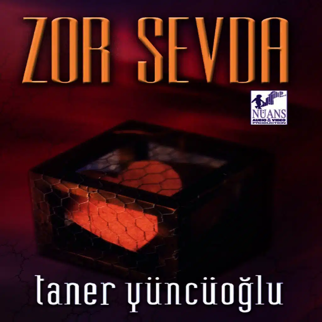 Zor Sevda