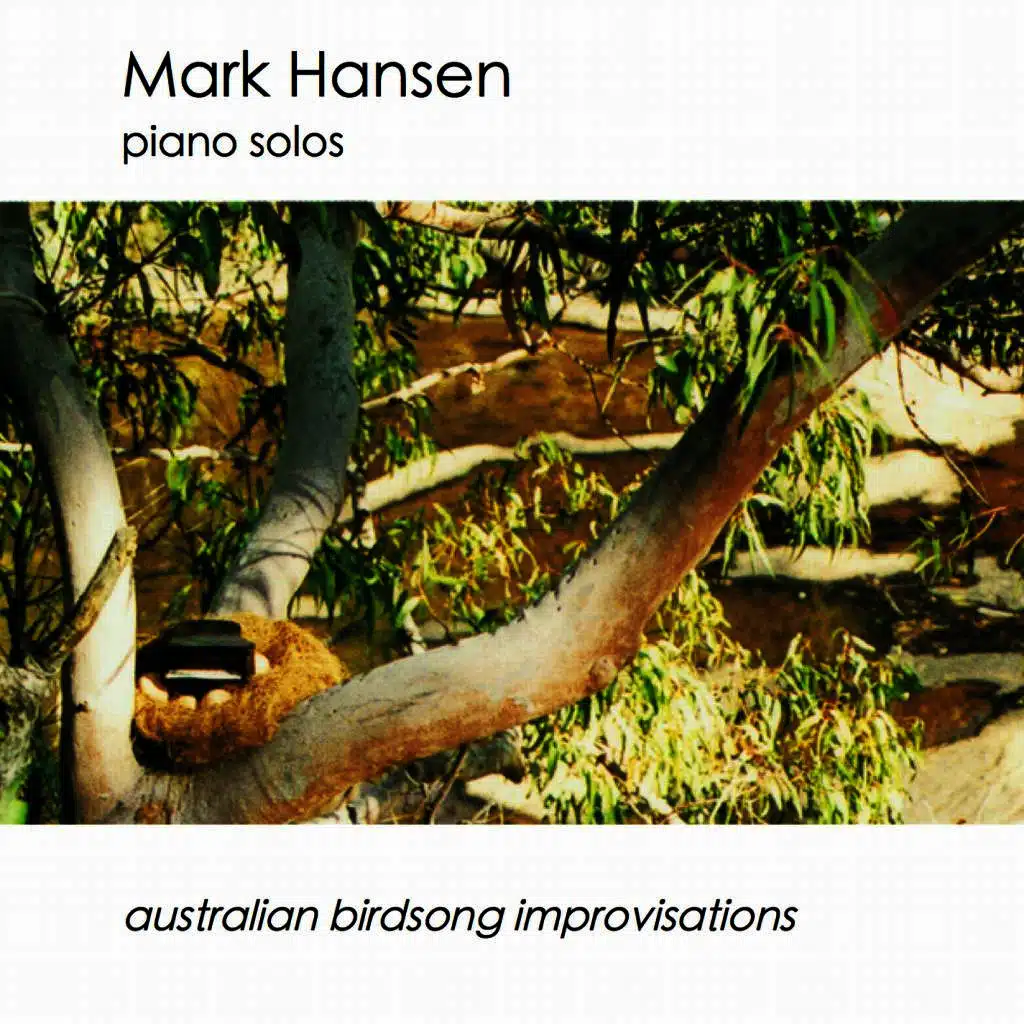 Piano Solos - Australian Birdsong Improvisations
