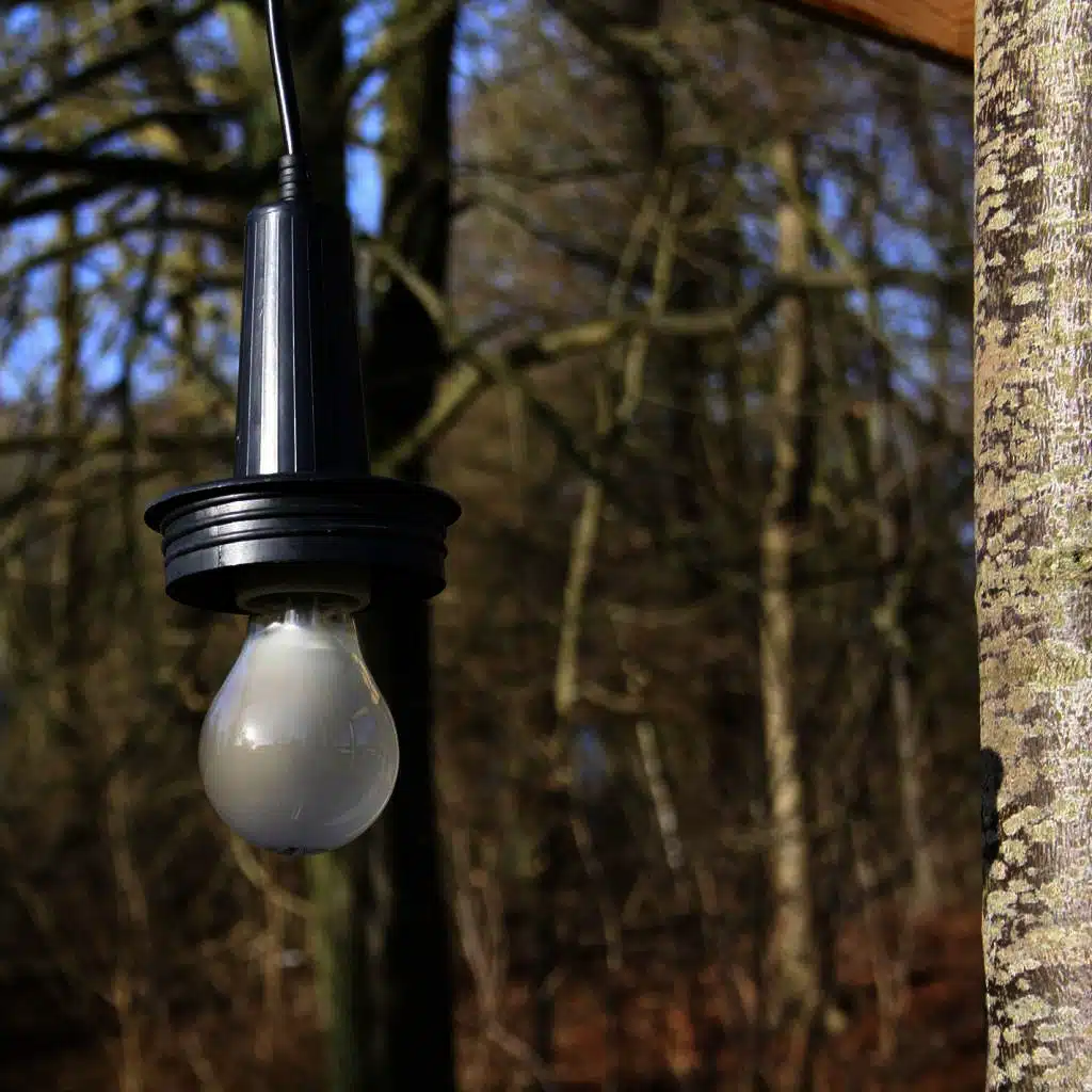 The Grinder [2014 Remaster]