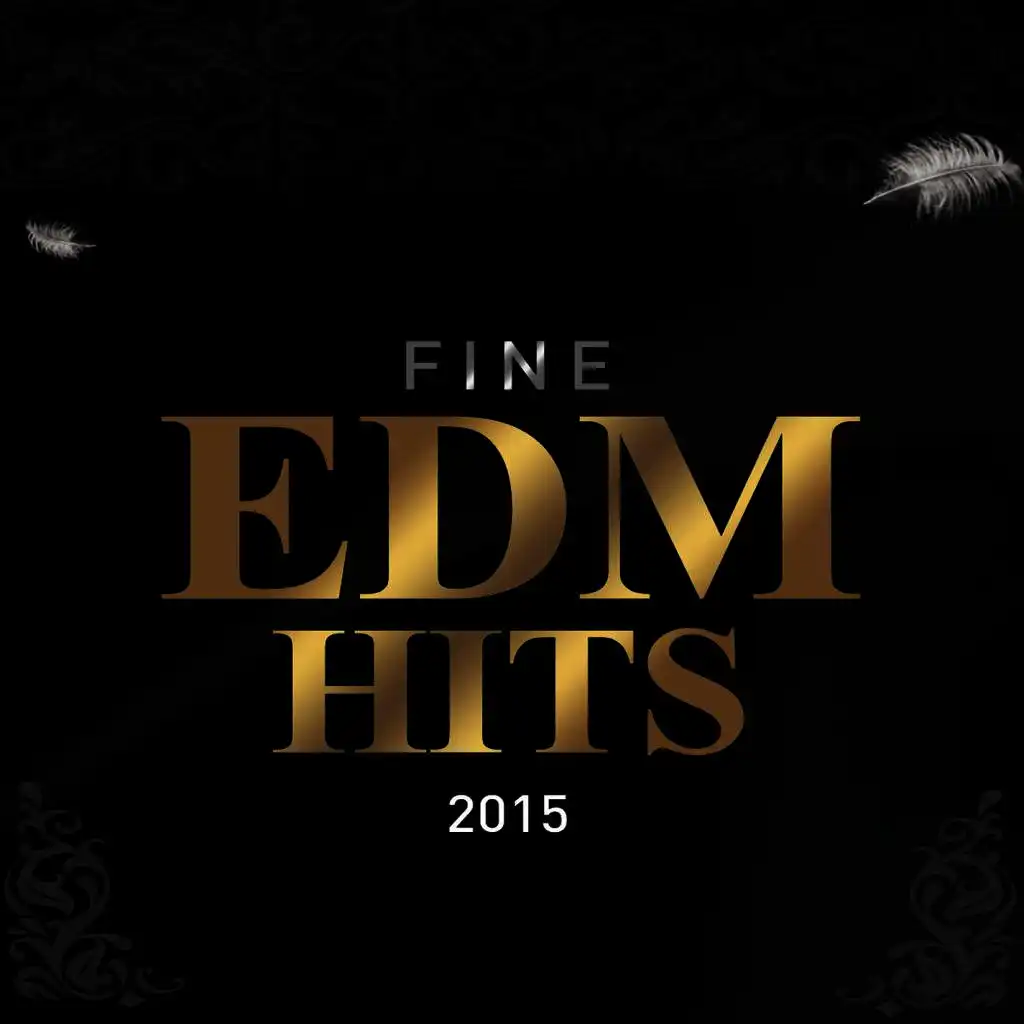 Fine EDM Hits 2015