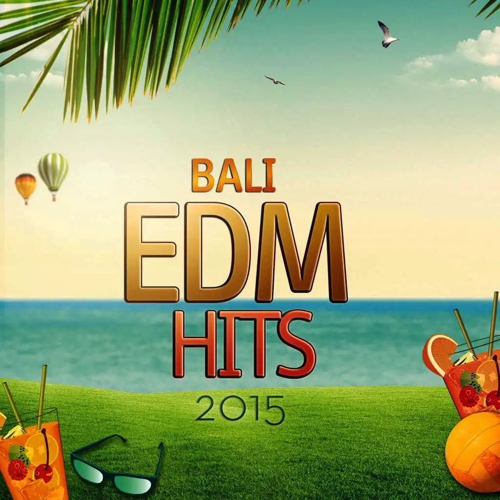 Bali EDM Hits 2015