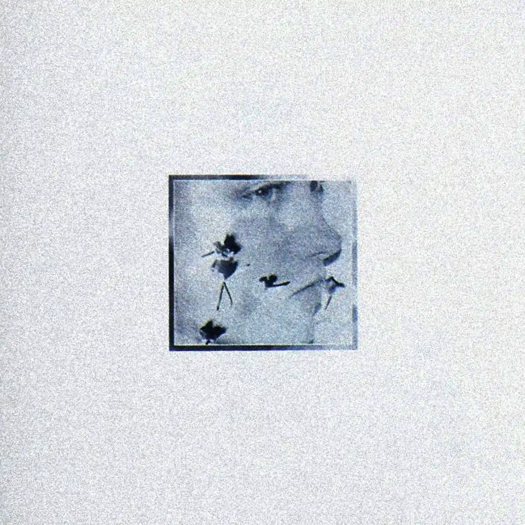 Violeta Päivänkakkara
