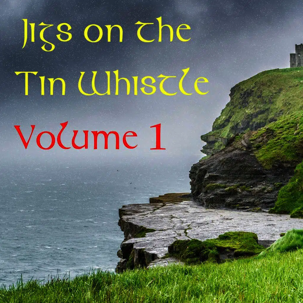 Jigs on the Tin Whistle: Volume 1