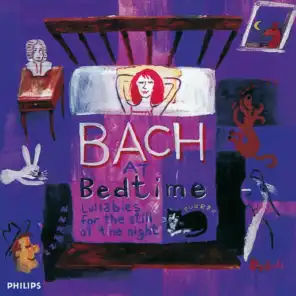 J.S. Bach: Violin Concerto No. 1 in A minor, BWV 1041 - Andante