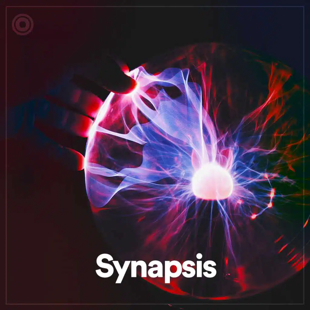 Synapsis