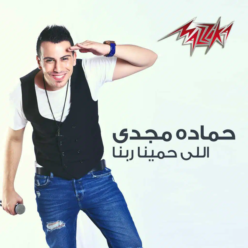 اللى حمينا ربنا