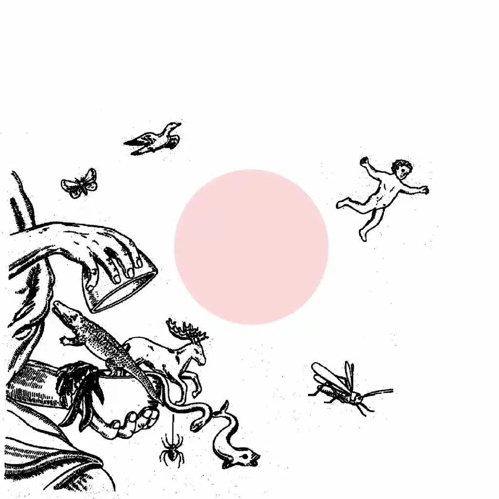 4wnc Landsleute Remixe