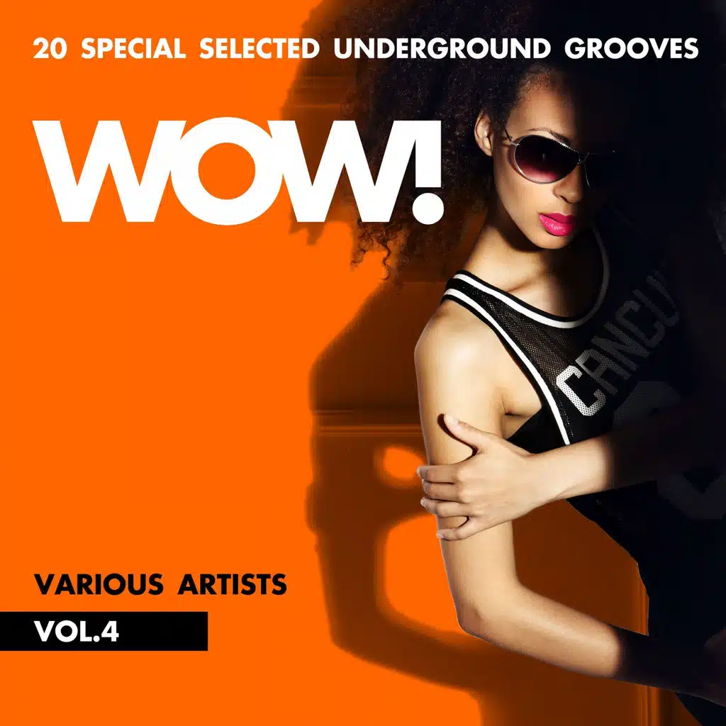 WOW! (20 Special Selected Underground Grooves), Vol. 4