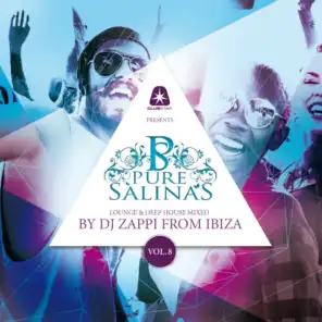 Pure Salinas, Vol. 8 (Compiled by DJ Zappi) (Lounge & Deep House Mixed)
