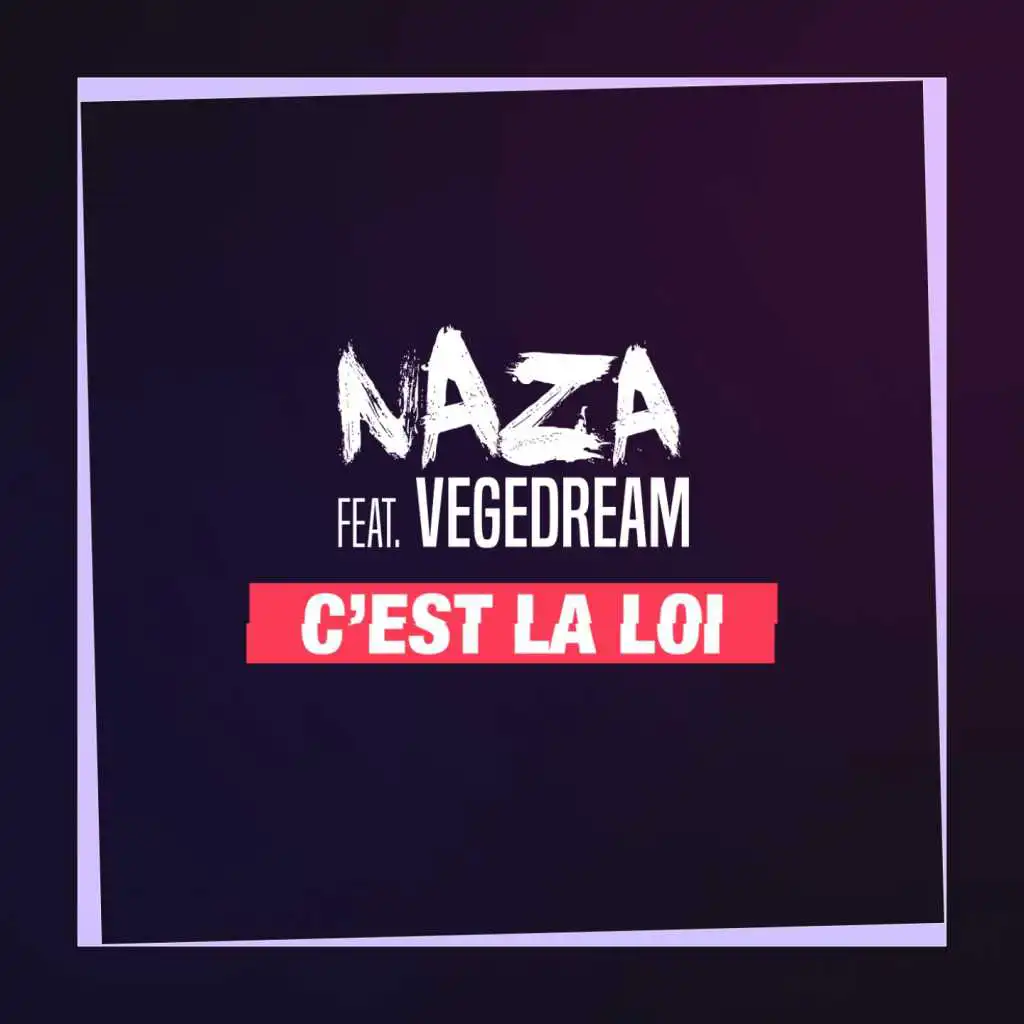 C'est la loi (feat. Vegedream)