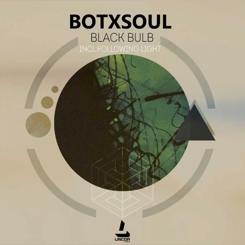 Black Bulb (Following Light Remix)