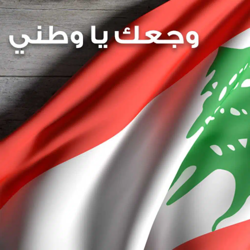 وجعك يا وطني