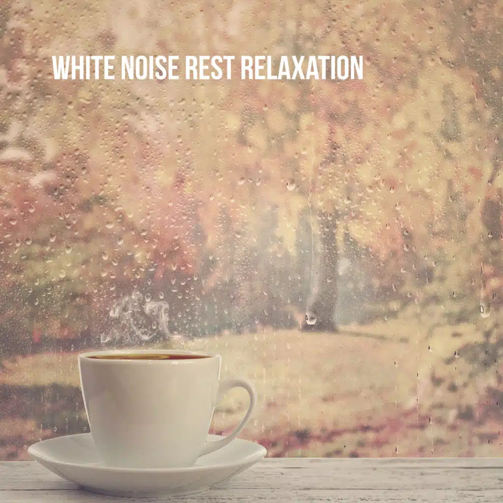 Relax Meditate Sleep, Relax and Zen Music Garden