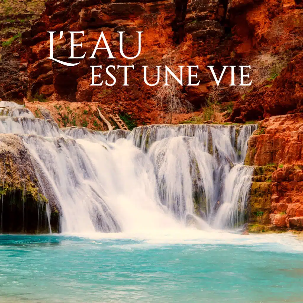 Rain (Music Therapy)