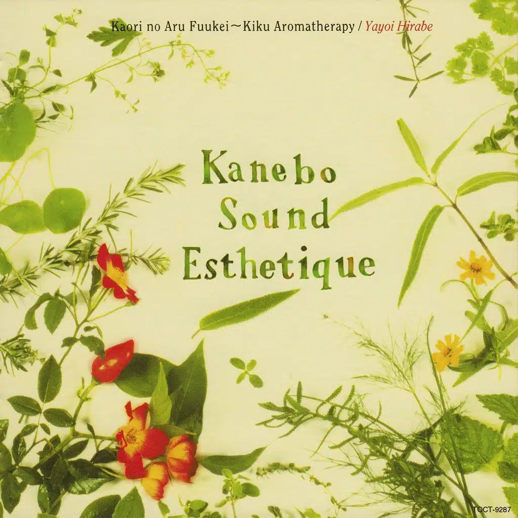 Kanebo Sound Esthetique 4 'Kaori no Aru Fuukei - Kiku Aromatherapy'