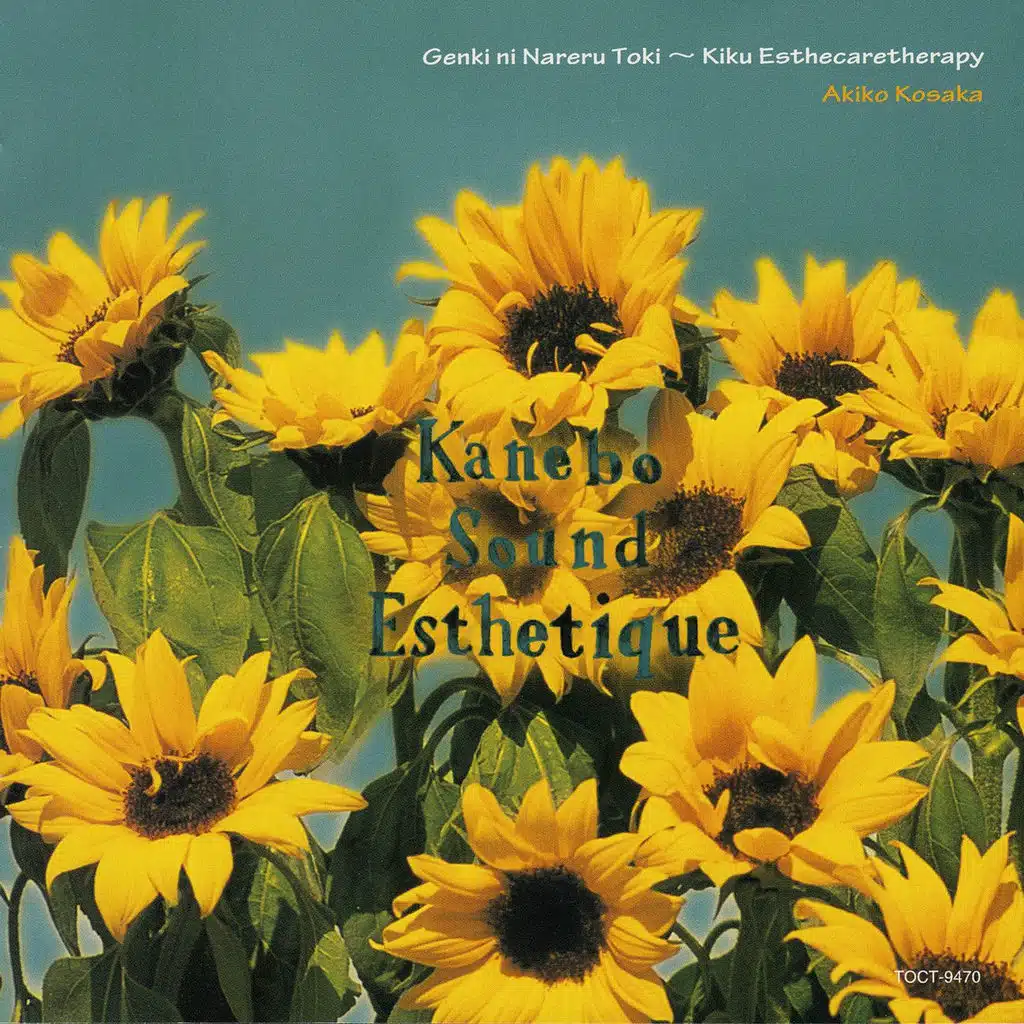 Kanebo Sound Esthetique 5 'Genki ni Nareru Toki - Kiku Esthecaretherapy'