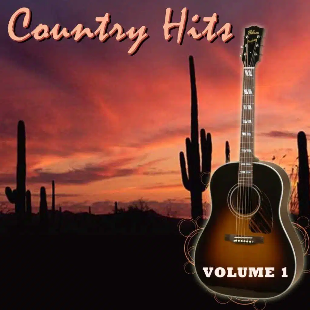 Country Hits, Vol. 1