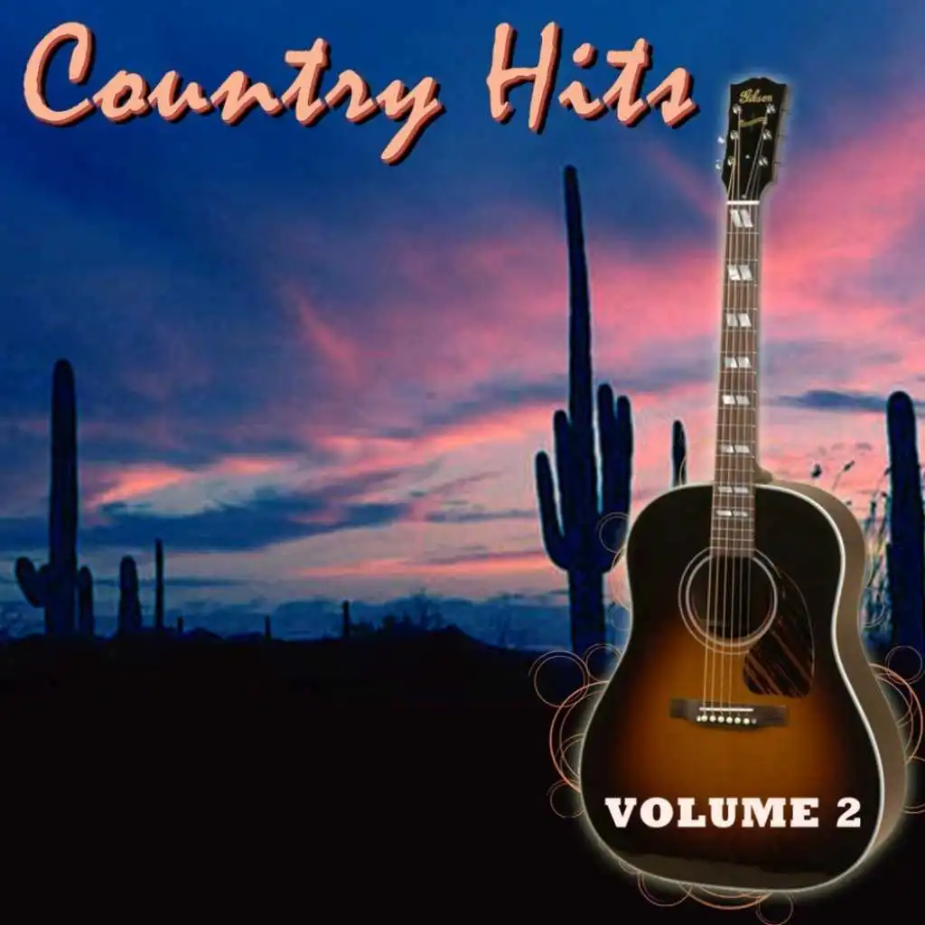 Country Hits, Vol. 2