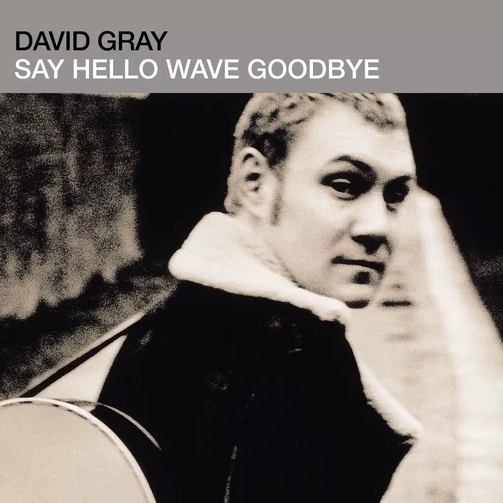 Say Hello, Wave Goodbye