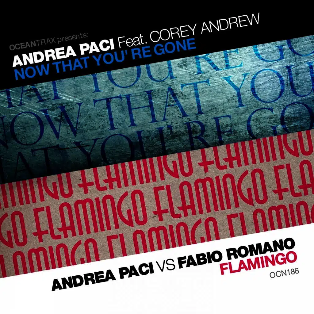 Now That Yoùre Gone / Flamingo (feat. Corey Andrew)