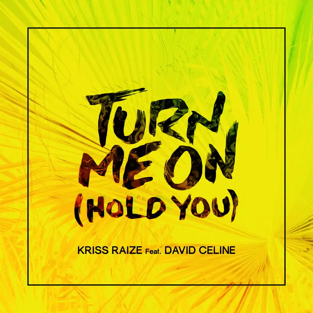 Turn Me on (Hold You) [feat. David Celine]