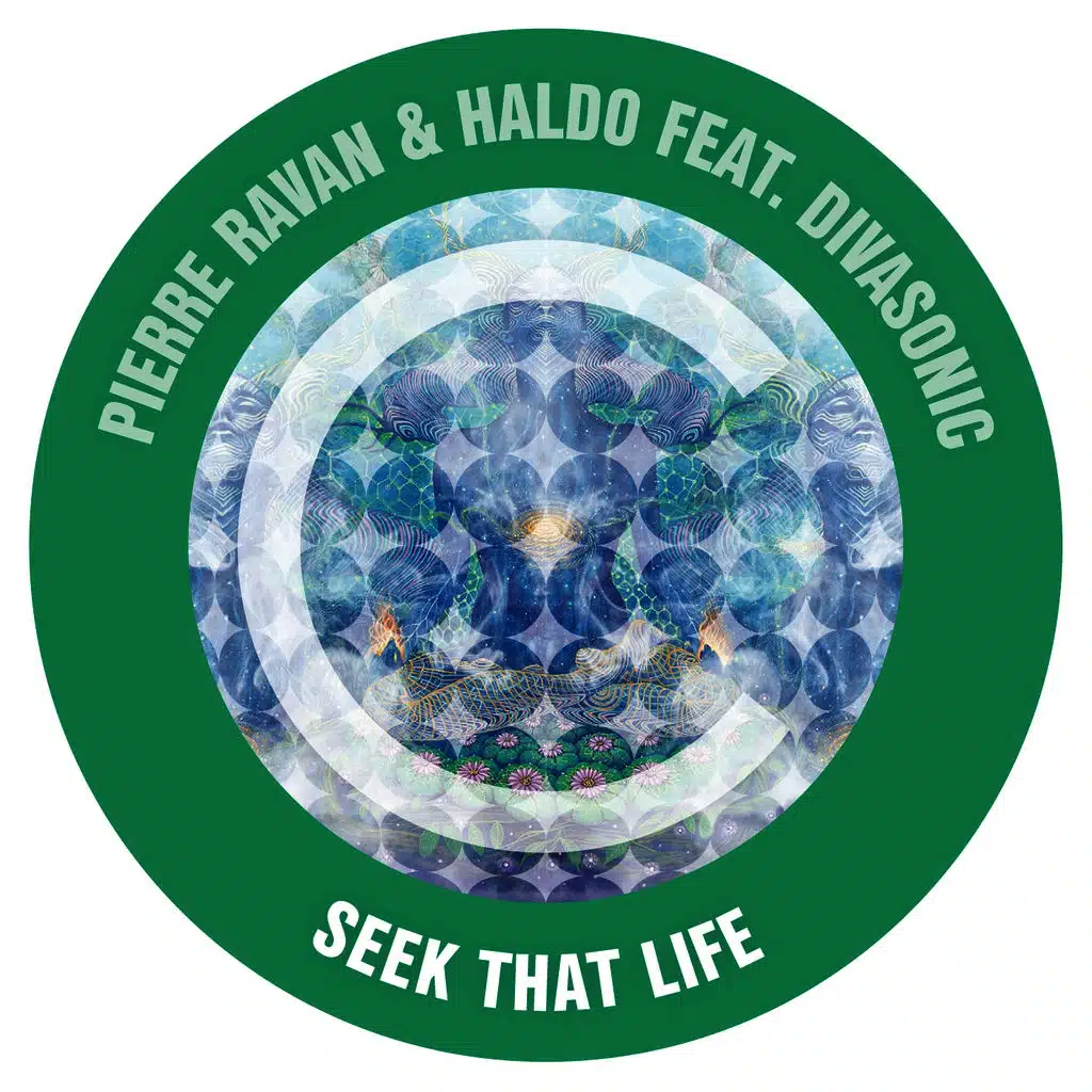 Seek That Life (ft. Divasonic)