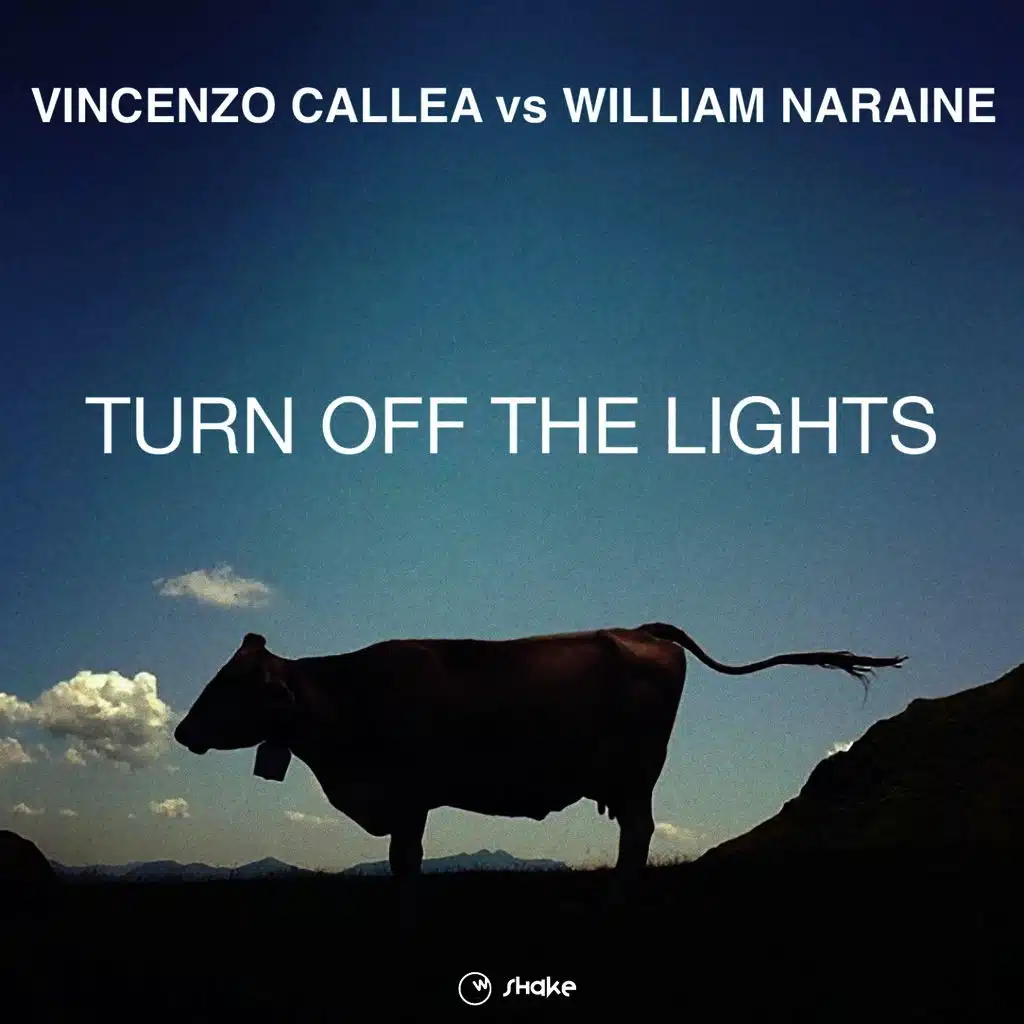 Turn Off the Lights (Vincenzo Callea Vs William Naraine)