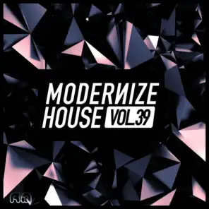 Modernize House, Vol. 39