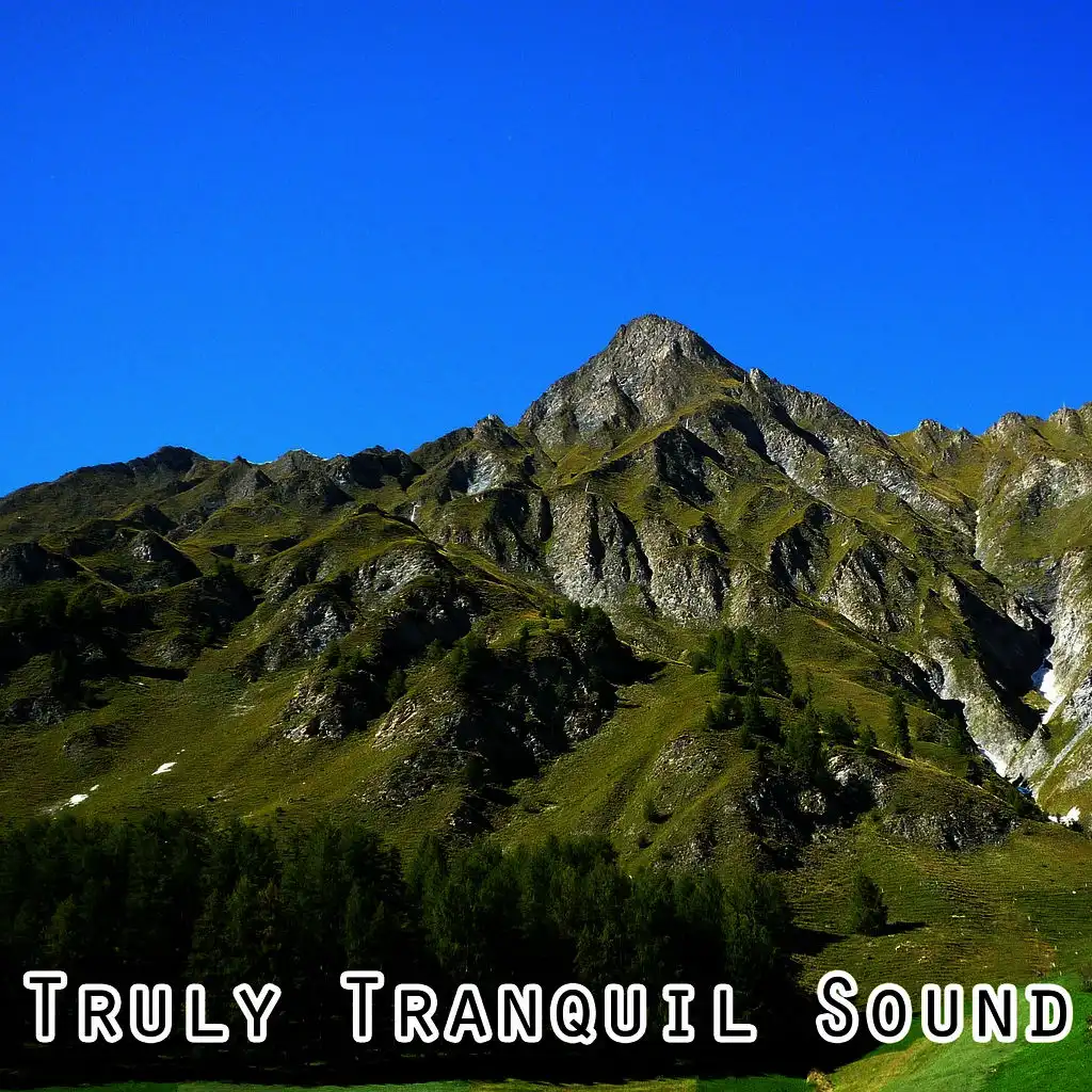 Truly Tranquil Sound