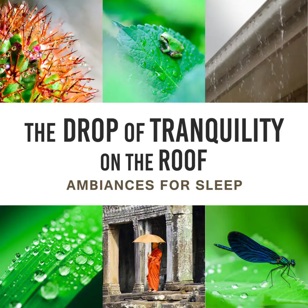 The Drop of Tranquility on the Roof