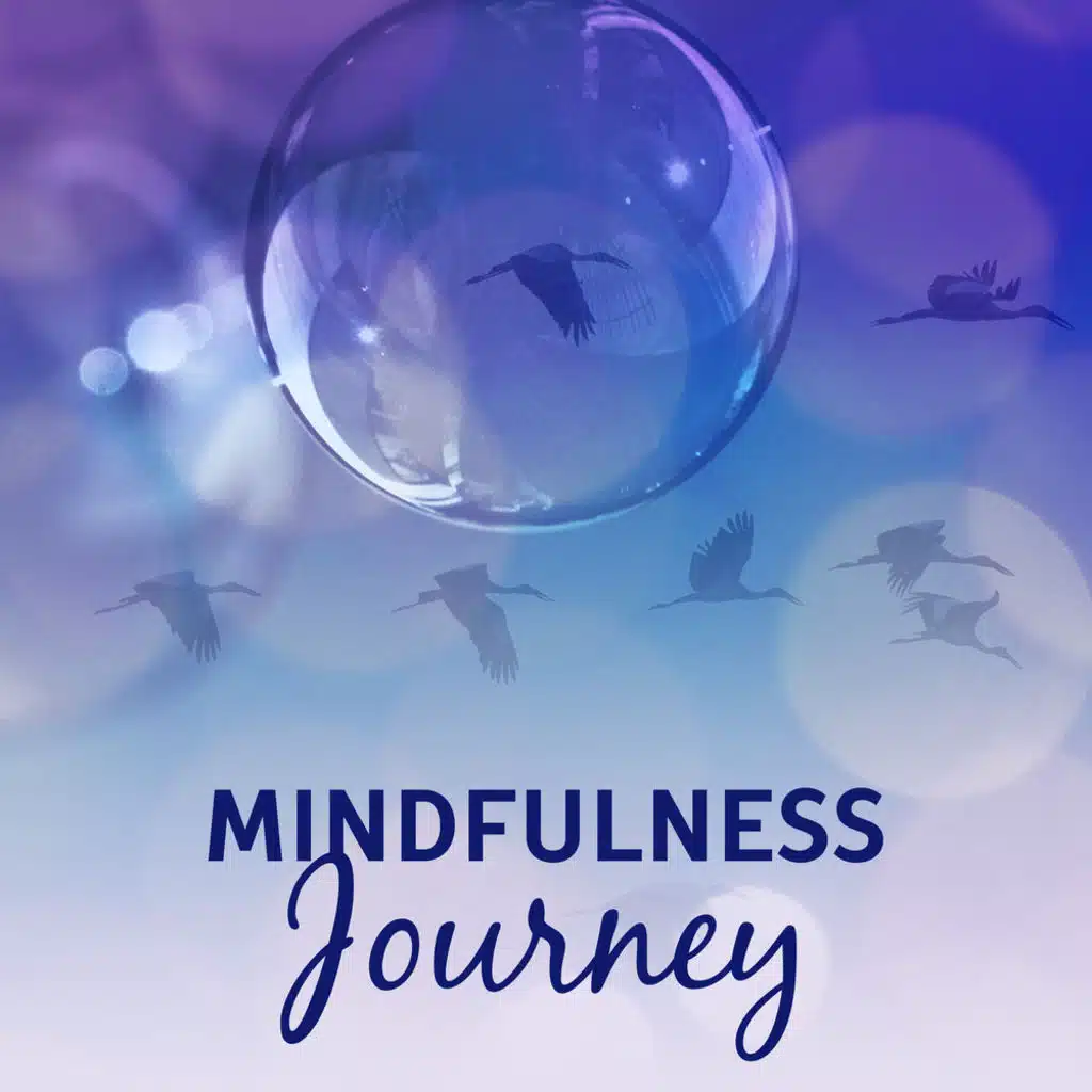 Mindfulness Journey