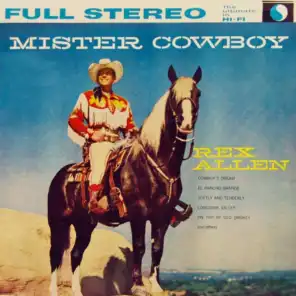 Mister Cowboy