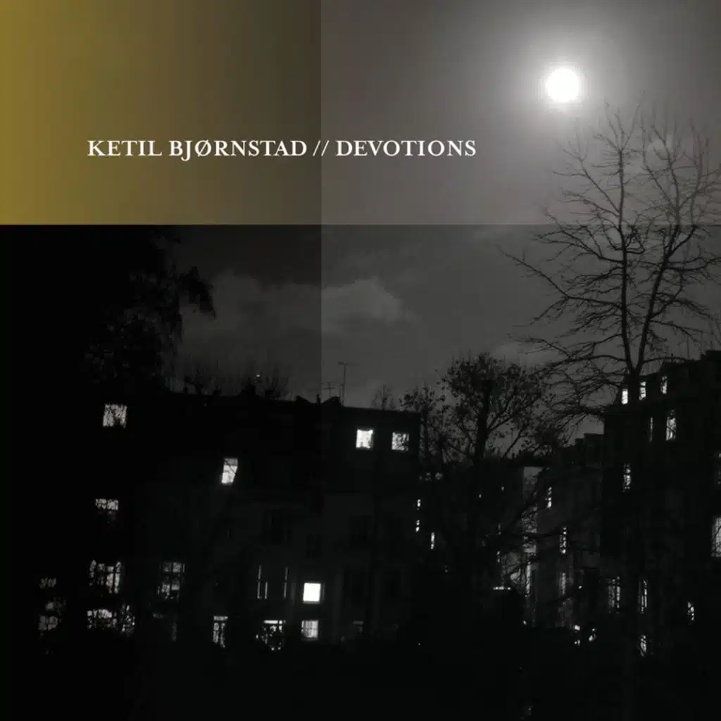 The window (Evening Version)