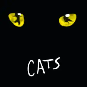 Cats (UK) - (set)