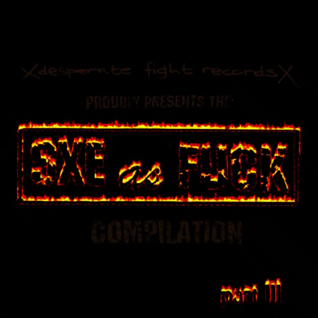 Straight Edge As Fuck II