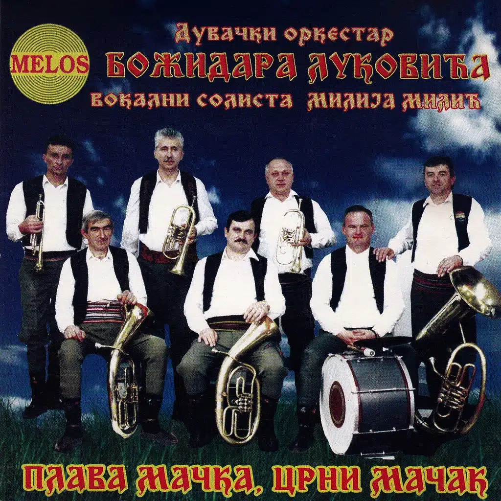 Plava macka, crni macak