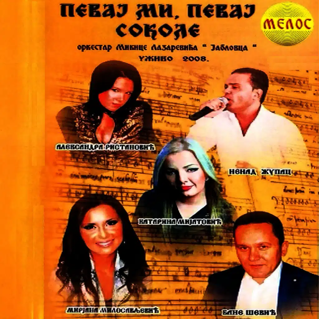 Pevaj mi, pevaj sokole (Uzivo 2008)