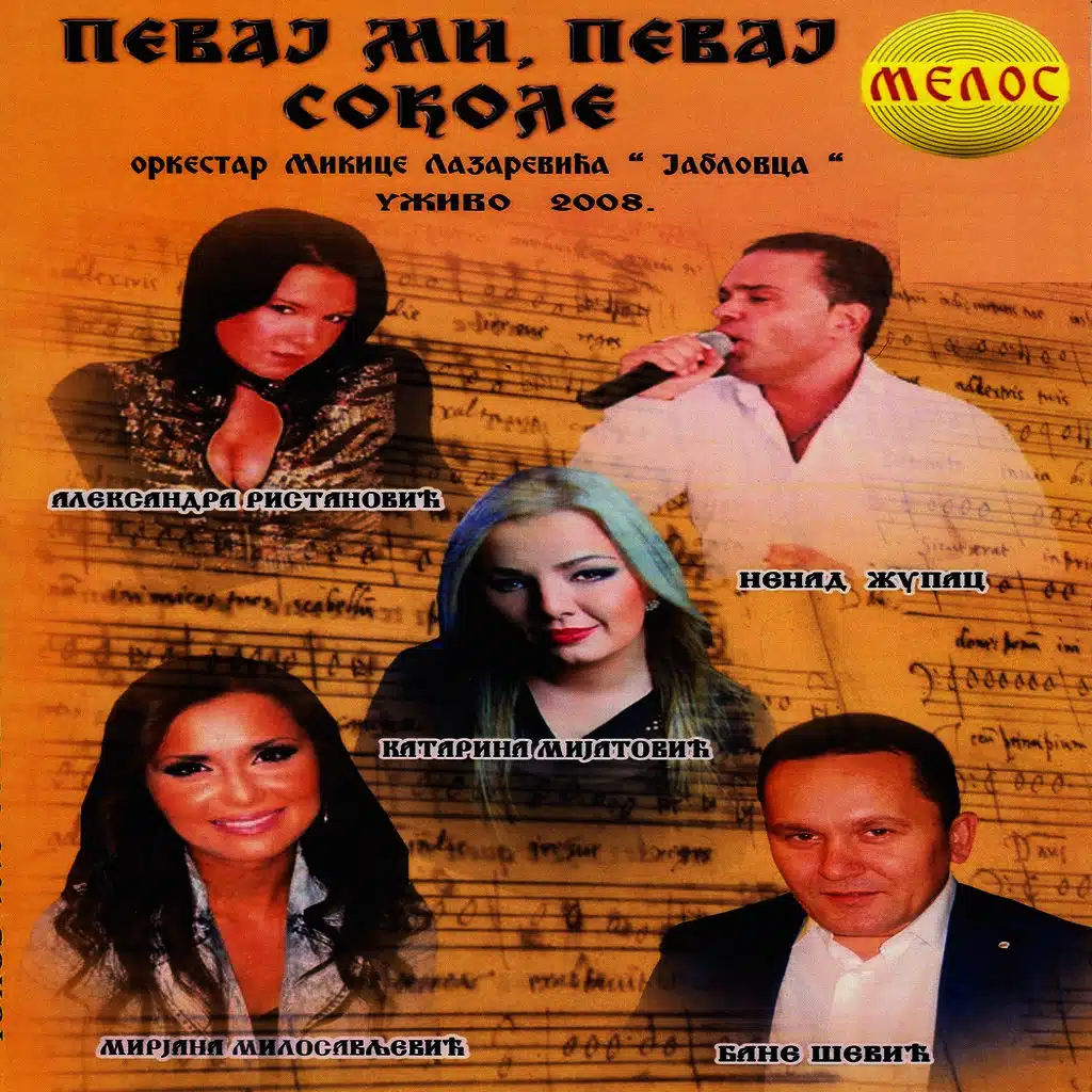 Pevaj mi sokole (Uzivo 2008)