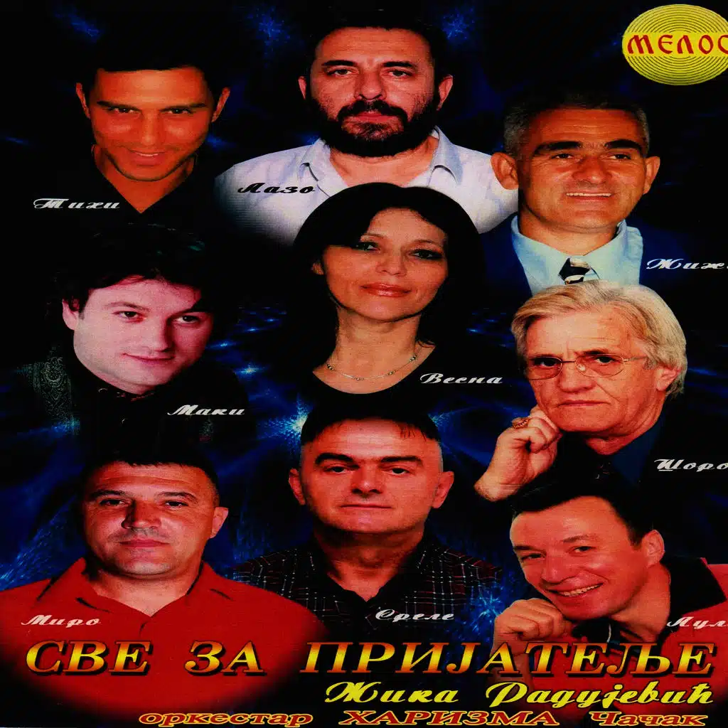 Sve za prijatelje - Zika Radujevic