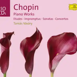 Chopin: Piano Works - 3 CD's