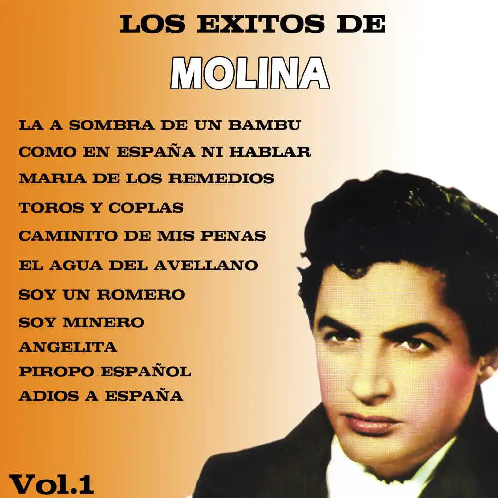 Los Exitos de Molina (Volumen I)