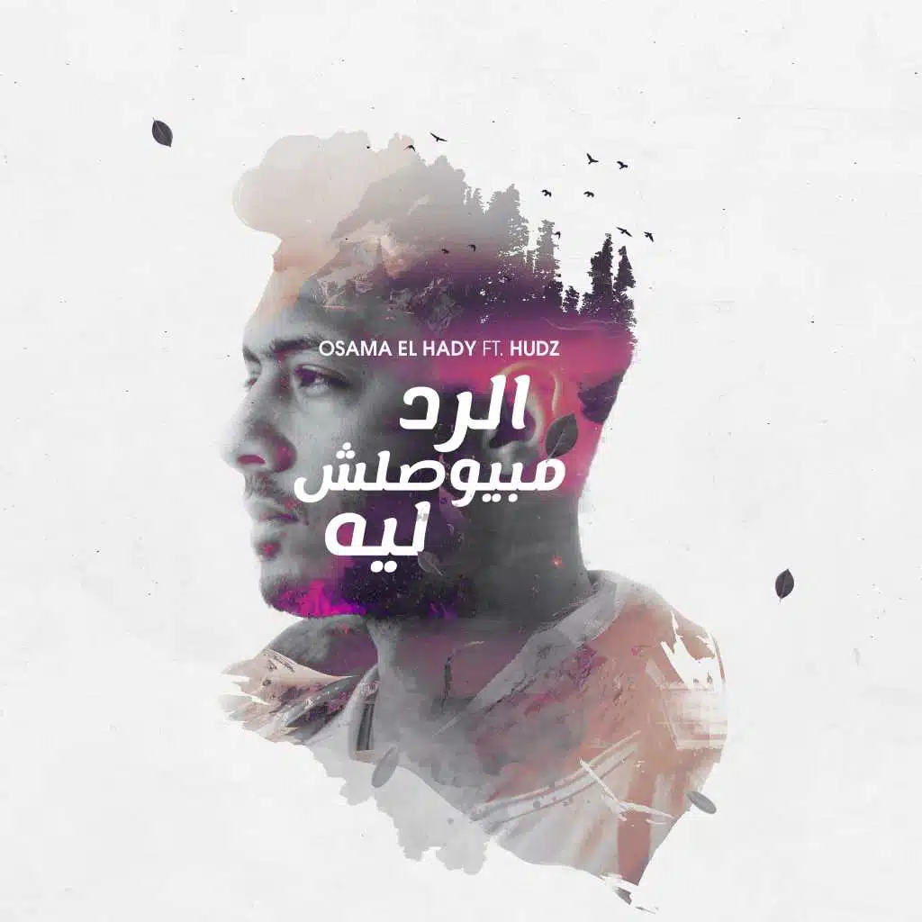 الرد مابيوصلش ليه (مع هادز)