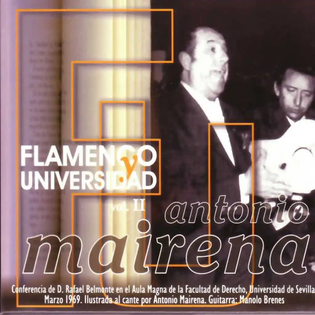 Flamenco y Universidad (Vol. 2)