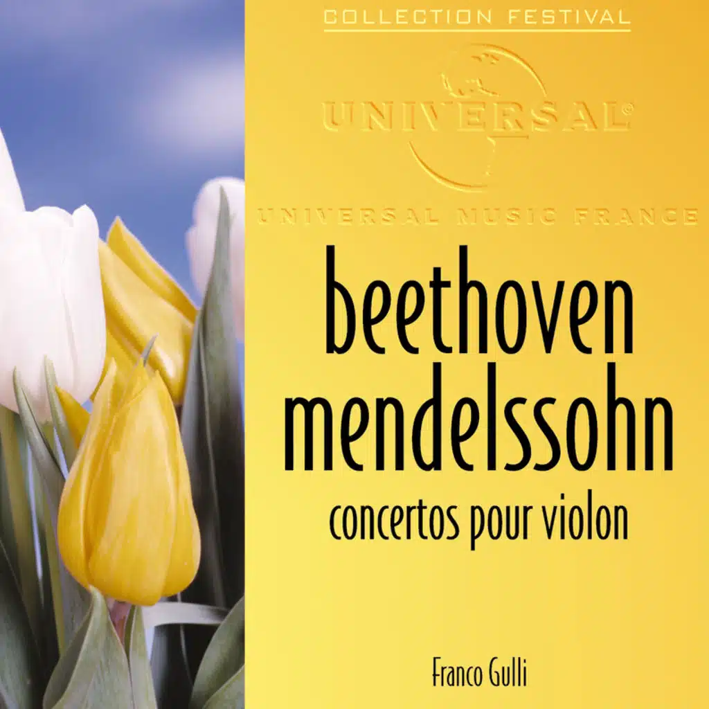 Beethoven: Violin Concerto in D major, Op. 61: 3. Rondo. Allegro