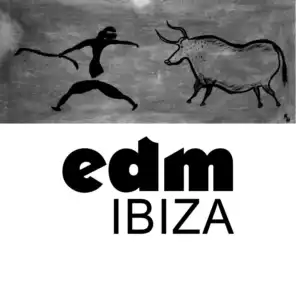 EDM: Ibiza