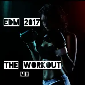 EDM 2017: The Workout Mix