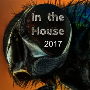 In the House 2017