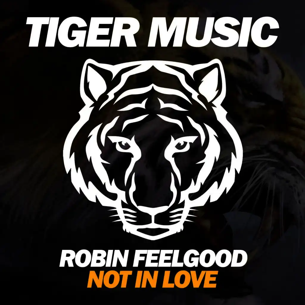 Not in Love (Original Mix)